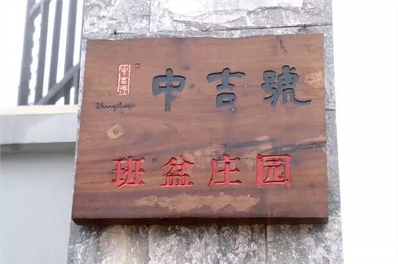 中吉號春茶