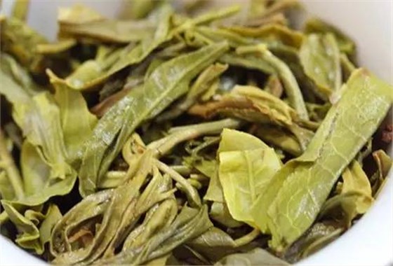 中吉號(hào)喬木普洱茶