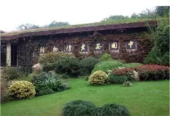 中國(guó)茶葉博物館