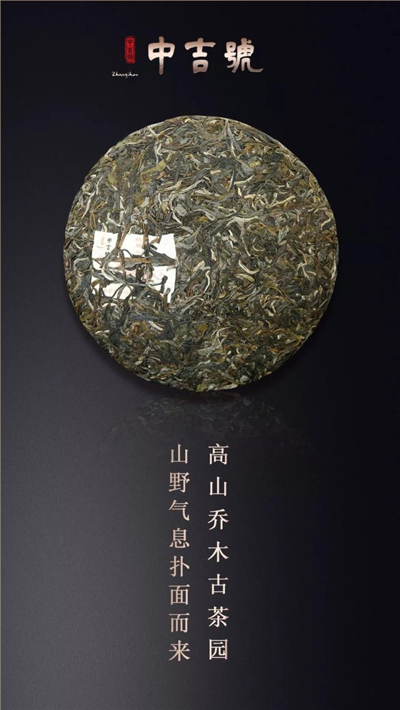 云南普洱茶旺財