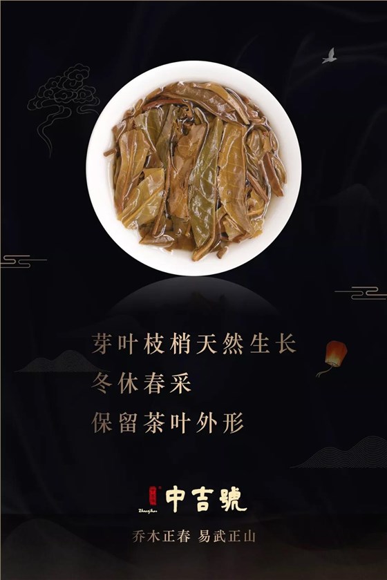 易武正山普洱茶