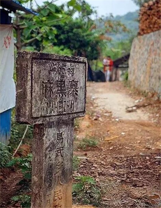 中吉號(hào)與麻黑茶