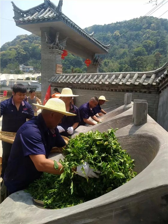 中吉號麻黑莊園