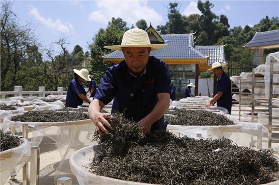 中吉號(hào)普洱茶