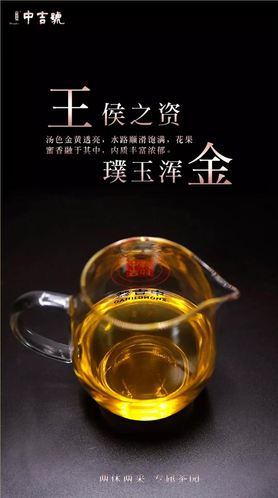 班盆普洱茶價格