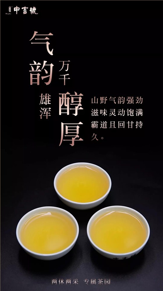 班盆普洱茶價格