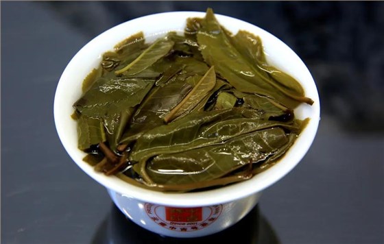 昔歸普洱茶