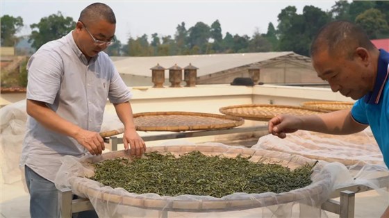 中吉號(hào)老班章普洱茶