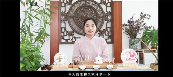 中吉號茶堂：如何分辨普洱熟茶和生茶？