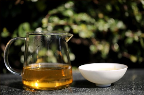 中吉號(hào)茶堂：什么季節(jié)采摘的云南普洱茶品質(zhì)最好？