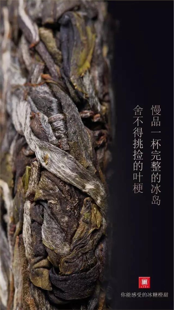 中吉號古樹茶