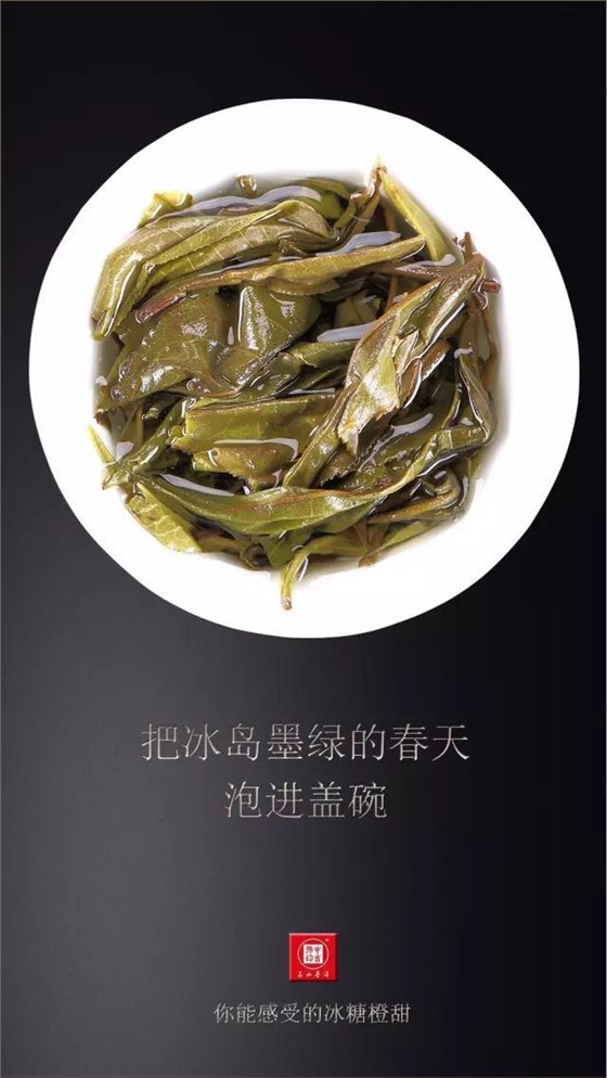 中吉號古樹茶