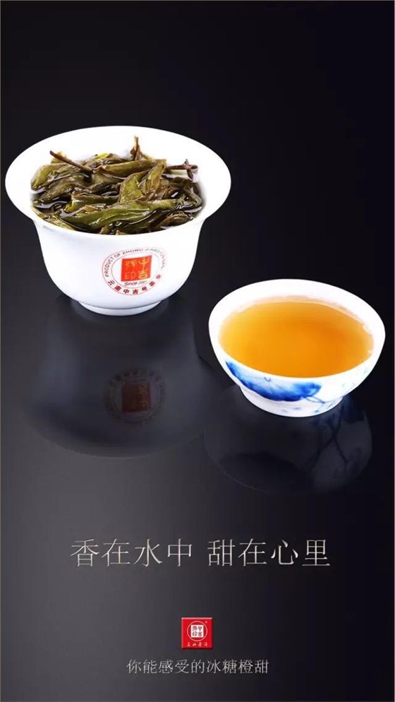 中吉號古樹茶