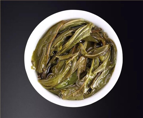 中吉號(hào)古樹茶 - 金象十年2017