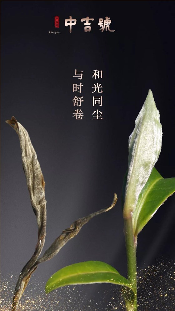 云南普洱茶旺財(cái)