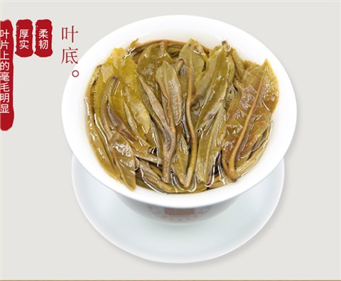 中吉號(hào)古樹(shù)茶 - 老班章2019