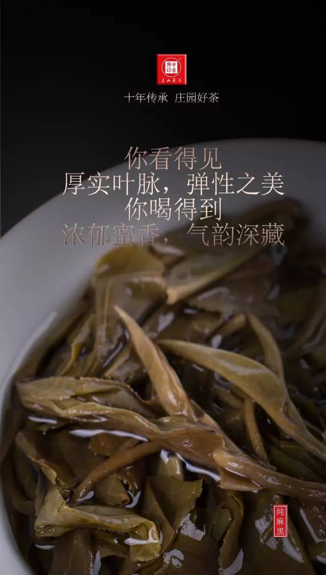 古樹茶純麻黑普洱茶