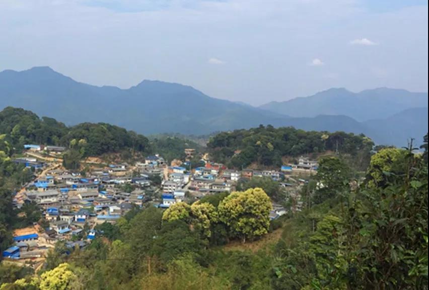 中吉號(hào)麻黑莊園