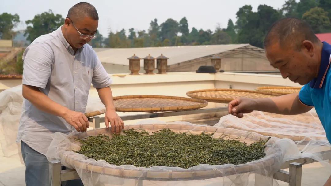 中吉號(hào)老班章普洱茶