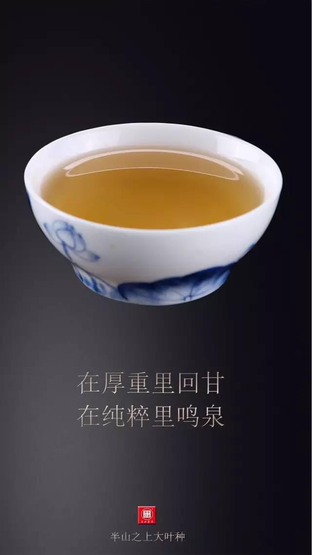 中吉號古樹茶