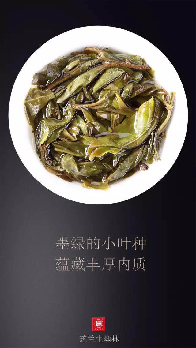 中吉號(hào)昔歸普洱茶