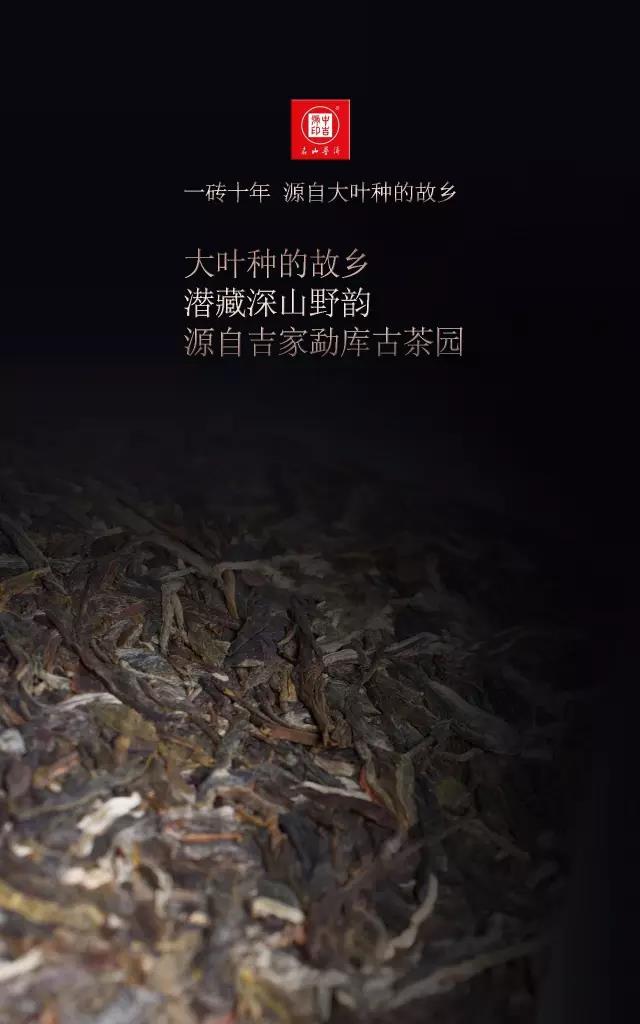 中吉號古樹茶